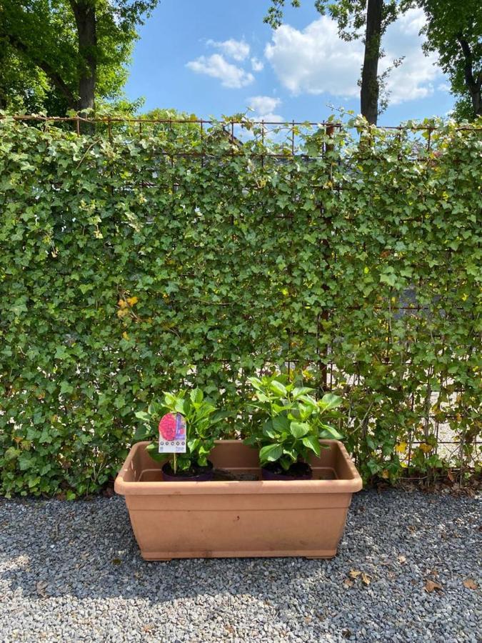 Chalet Valkenbosch Groenvink 85 Oisterwijk Eksteriør bilde